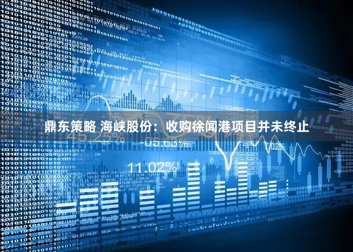 鼎东策略 海峡股份：收购徐闻港项目并未终止
