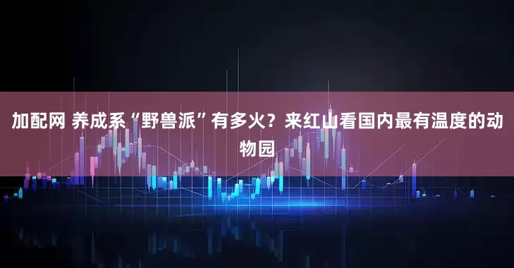 加配网 养成系“野兽派”有多火？来红山看国内最有温度的动物园