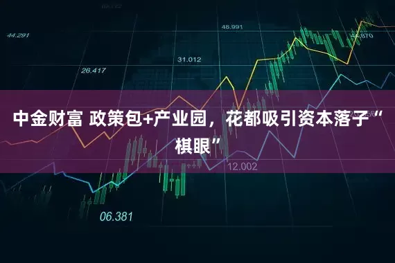 中金财富 政策包+产业园，花都吸引资本落子“棋眼”