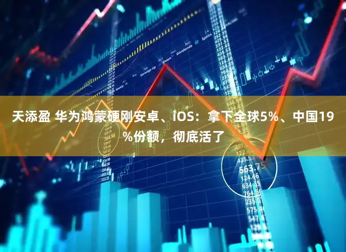 天添盈 华为鸿蒙硬刚安卓、iOS：拿下全球5%、中国19%份额，彻底活了